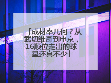 成材率几何？从武切维奇到申京，16顺位走出的球星还真不少
