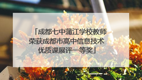 成都七中蒲江学校教师荣获成都市高中信息技术优质课展评一等奖