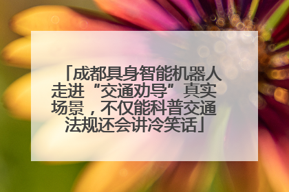 成都具身智能机器人走进“交通劝导”真实场景，不仅能科普交通法规还会讲冷笑话