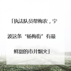 执法队员帮梅农，宁波这条“杨梅街”有最鲜甜的市井烟火