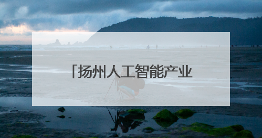 扬州人工智能产业园：追“新”逐“质” “新”兴向荣
