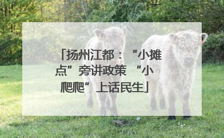 扬州江都：“小摊点”旁讲政策 “小爬爬”上话民生