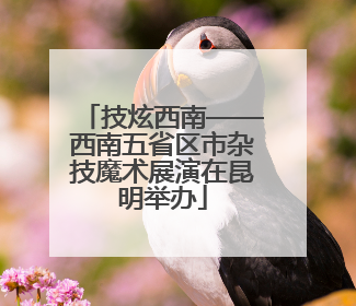 技炫西南——西南五省区市杂技魔术展演在昆明举办