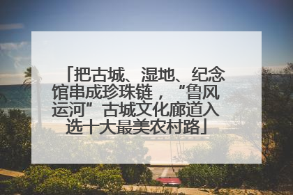 把古城、湿地、纪念馆串成珍珠链，“鲁风运河”古城文化廊道入选十大最美农村路