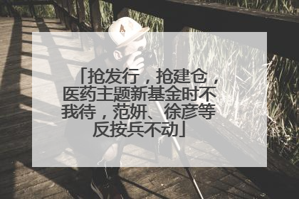 抢发行，抢建仓，医药主题新基金时不我待，范妍、徐彦等反按兵不动
