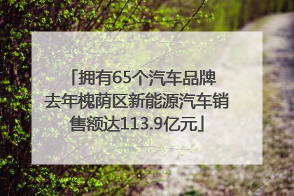 拥有65个汽车品牌 去年槐荫区新能源汽车销售额达113.9亿元