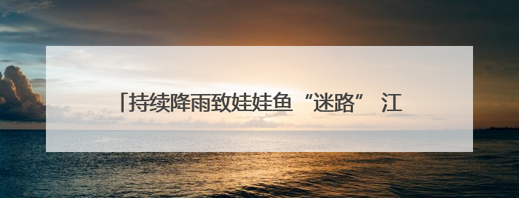 持续降雨致娃娃鱼“迷路” 江西金溪县干群联手助其重返自然
