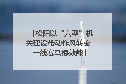 松阳以“六型”机关建设带动作风转变 一线赛马提效能