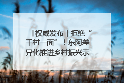 权威发布｜拒绝“千村一面”！东阿差异化推进乡村振兴示范片区建设