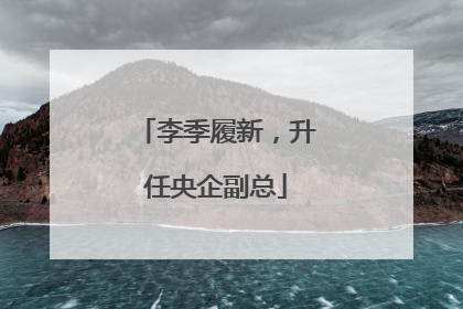 李季履新，升任央企副总