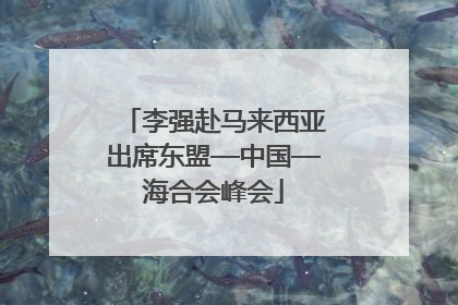 李强赴马来西亚出席东盟—中国—海合会峰会