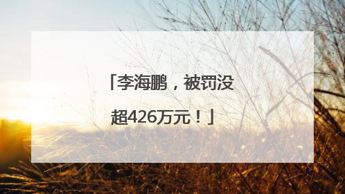李海鹏，被罚没超426万元！