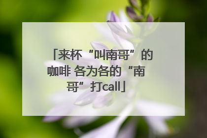 来杯“叫南哥”的咖啡 各为各的“南哥”打call