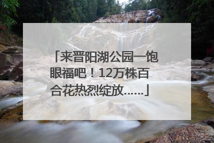 来晋阳湖公园一饱眼福吧！12万株百合花热烈绽放……