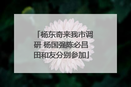 杨东奇来我市调研 杨国强陈必昌田和友分别参加