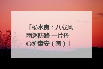 杨水良：八载风雨巡防路 一片丹心护童安（图）