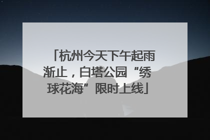 杭州今天下午起雨渐止，白塔公园“绣球花海”限时上线