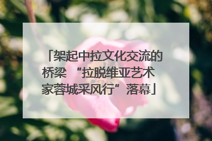 架起中拉文化交流的桥梁 “拉脱维亚艺术家蓉城采风行”落幕