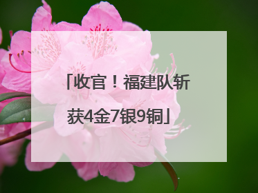 收官！福建队斩获4金7银9铜