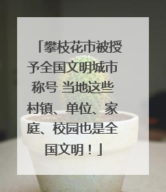 攀枝花市被授予全国文明城市称号 当地这些村镇、单位、家庭、校园也是全国文明！