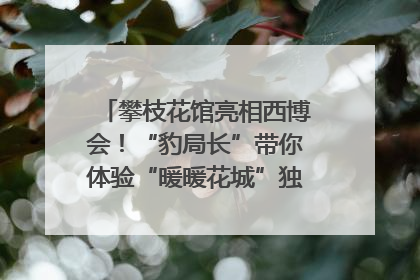 攀枝花馆亮相西博会！“豹局长”带你体验“暖暖花城”独特魅力｜西博视界