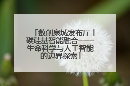 数创泉城发布厅丨碳硅基智能融合——生命科学与人工智能的边界探索