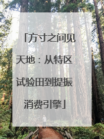 方寸之间见天地：从特区试验田到提振消费引擎