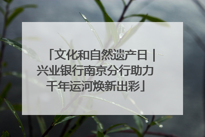 文化和自然遗产日|兴业银行南京分行助力千年运河焕新出彩