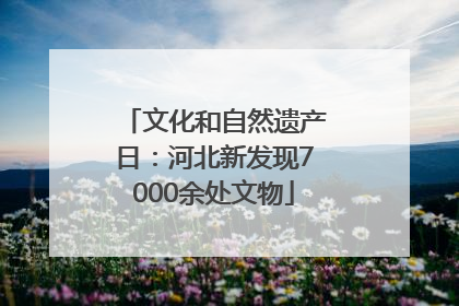 文化和自然遗产日：河北新发现7000余处文物