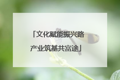 文化赋能振兴路 产业筑基共富途