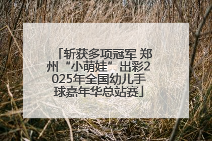 斩获多项冠军 郑州“小萌娃”出彩2025年全国幼儿手球嘉年华总站赛