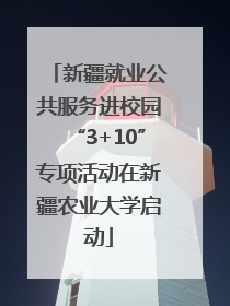 新疆就业公共服务进校园“3+10”专项活动在新疆农业大学启动