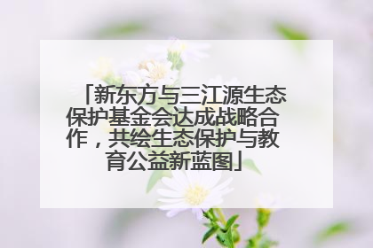 新东方与三江源生态保护基金会达成战略合作，共绘生态保护与教育公益新蓝图
