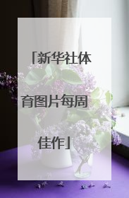 新华社体育图片每周佳作