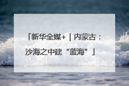 新华全媒+｜内蒙古：沙海之中建“蓝海”