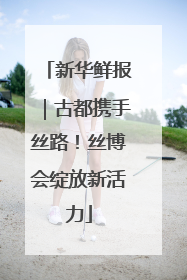 新华鲜报｜古都携手丝路！丝博会绽放新活力