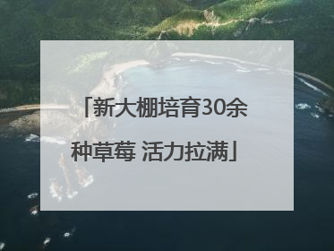 新大棚培育30余种草莓 活力拉满