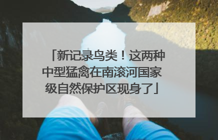 新记录鸟类！这两种中型猛禽在南滚河国家级自然保护区现身了
