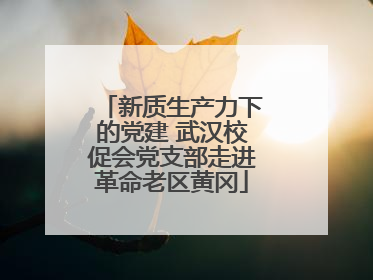 新质生产力下的党建 武汉校促会党支部走进革命老区黄冈
