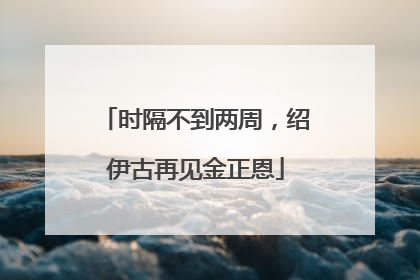 时隔不到两周，绍伊古再见金正恩