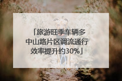 旅游旺季车辆多 中山路片区调流通行效率提升约30%
