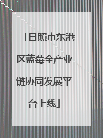 日照市东港区蓝莓全产业链协同发展平台上线