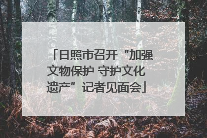 日照市召开“加强文物保护 守护文化遗产”记者见面会