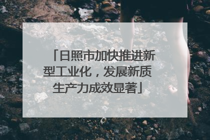 日照市加快推进新型工业化，发展新质生产力成效显著