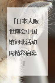 日本大阪世博会中国馆河北活动周精彩启幕