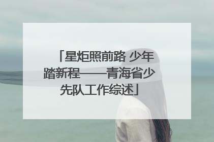 星炬照前路 少年踏新程——青海省少先队工作综述