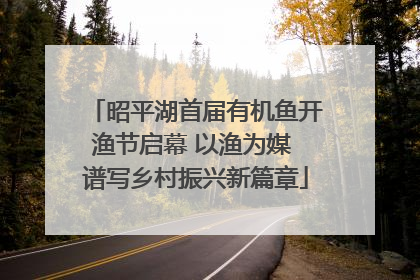 昭平湖首届有机鱼开渔节启幕 以渔为媒 谱写乡村振兴新篇章