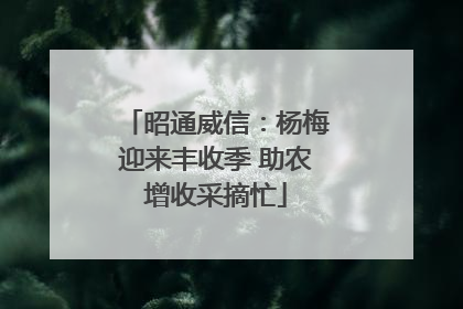 昭通威信：杨梅迎来丰收季 助农增收采摘忙