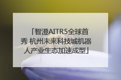 智澄AITR5全球首秀 杭州未来科技城机器人产业生态加速成型