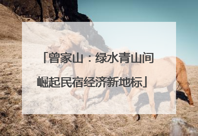 曾家山：绿水青山间崛起民宿经济新地标